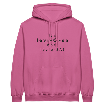 Embroidered Hoodie : Wingardium Leviosa - Harry Potter - Slay Hoodies