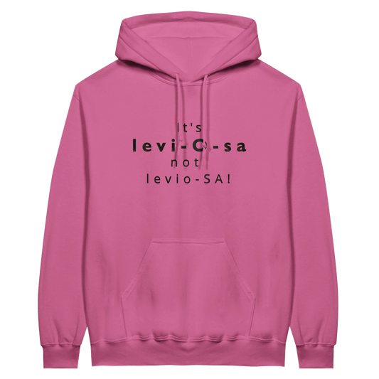 Embroidered Hoodie : Wingardium Leviosa - Harry Potter - Slay Hoodies