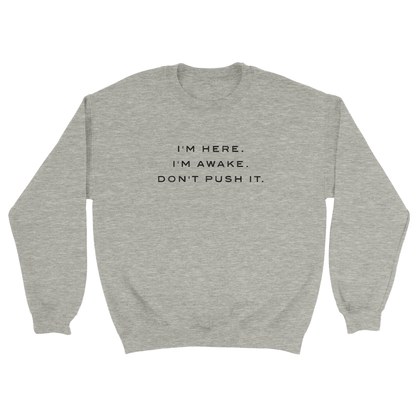 Embroidered Sweatshirt : I'm Here. I'm Awake. Don't Push It. - Slay Hoodies
