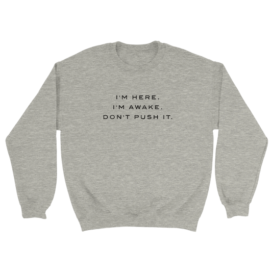 Embroidered Sweatshirt : I'm Here. I'm Awake. Don't Push It. - Slay Hoodies
